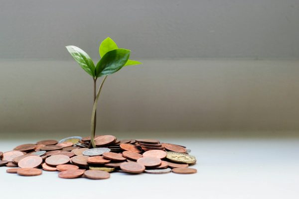 Why Sustainable Growth is the Key to Long-Term Business Success