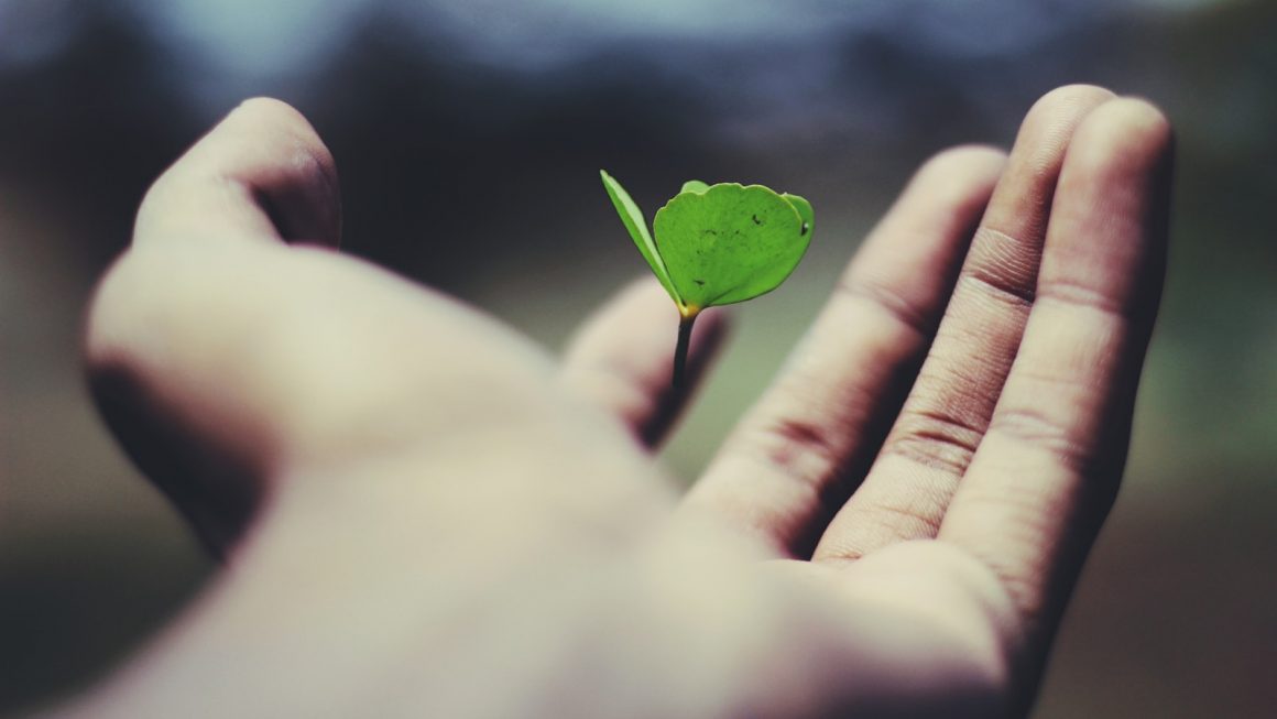 Why Sustainable Growth Is the Only Growth That Matters in 2025