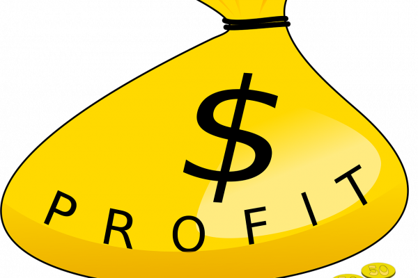 Revenue Is Up but Profit Is Down: 7 Hidden Leaks and How to Fix Them
