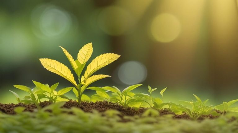 growth, plant, nature, grow, green, leaf, growing, grow, grow, grow, grow, grow, growing