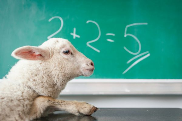 25 Expansion Mistakes Small Businesses Make in 2026 and the Smarter Moves That Keep Growth Profitable