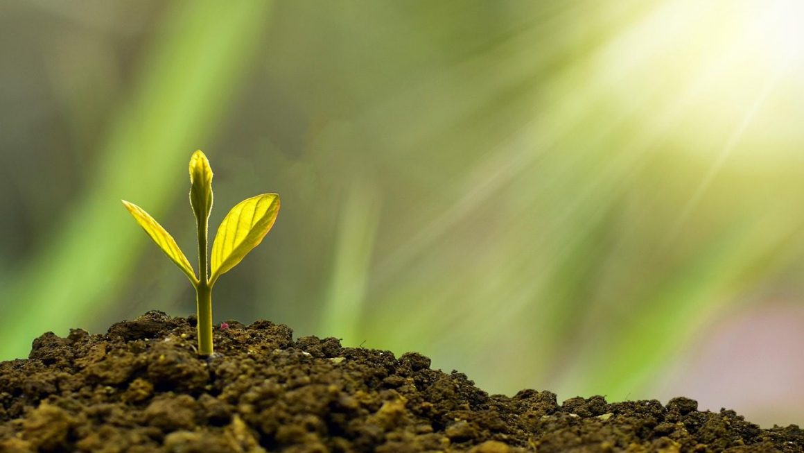 Growth Isn’t About Scaling Faster—It’s About Becoming Harder to Break